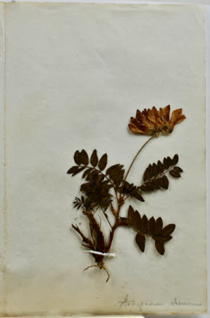 Gunby Hall © National Trust / Robert Bakewell