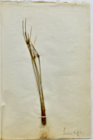 Gunby Hall © National Trust / Robert Bakewell