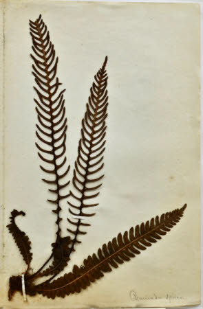 Gunby Hall © National Trust / Robert Bakewell