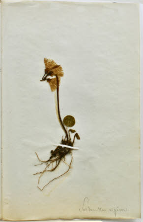 Gunby Hall © National Trust / Robert Bakewell