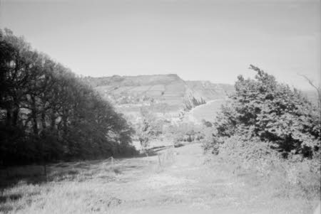 Shaw’s Corner. Reproduced with kind permission of LSE, The National Trust, and The Society of Authors on behalf of the Bernard Shaw Estate © National Trust