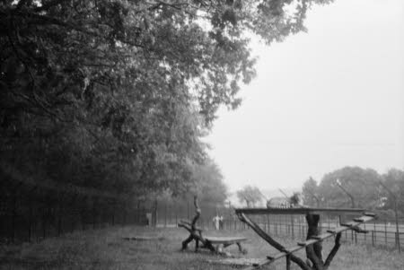 Shaw’s Corner. Reproduced with kind permission of LSE, The National Trust, and The Society of Authors on behalf of the Bernard Shaw Estate © National Trust