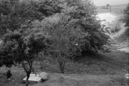 Shaw’s Corner. Reproduced with kind permission of LSE, The National Trust, and The Society of Authors on behalf of the Bernard Shaw Estate © National Trust