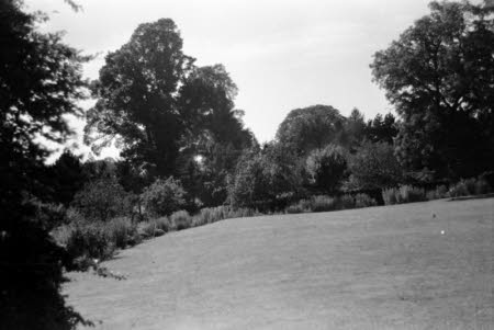 Shaw’s Corner. Reproduced with kind permission of LSE, The National Trust, and The Society of Authors on behalf of the Bernard Shaw Estate © National Trust