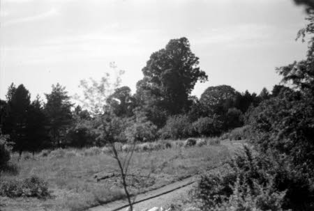 Shaw’s Corner. Reproduced with kind permission of LSE, The National Trust, and The Society of Authors on behalf of the Bernard Shaw Estate © National Trust