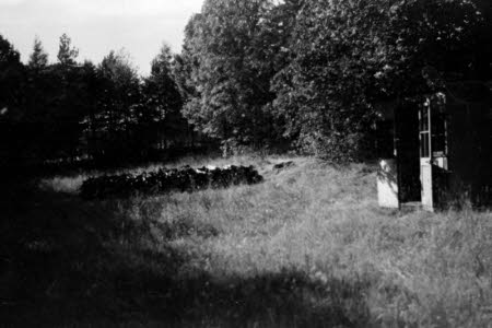 Shaw’s Corner. Reproduced with kind permission of LSE, The National Trust, and The Society of Authors on behalf of the Bernard Shaw Estate © National Trust