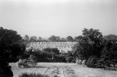 Shaw’s Corner. Reproduced with kind permission of LSE, The National Trust, and The Society of Authors on behalf of the Bernard Shaw Estate © National Trust