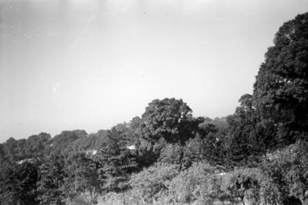 Shaw’s Corner. Reproduced with kind permission of LSE, The National Trust, and The Society of Authors on behalf of the Bernard Shaw Estate © National Trust