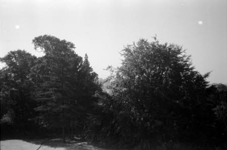 Shaw’s Corner. Reproduced with kind permission of LSE, The National Trust, and The Society of Authors on behalf of the Bernard Shaw Estate © National Trust