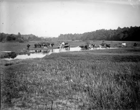 Calke Abbey © National Trust / David Midgelow