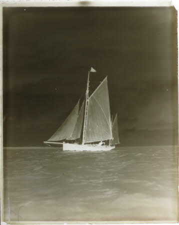Photographic negative