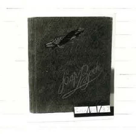 Scrap book
