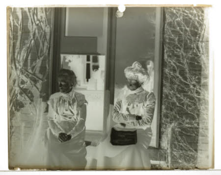 Photographic plate