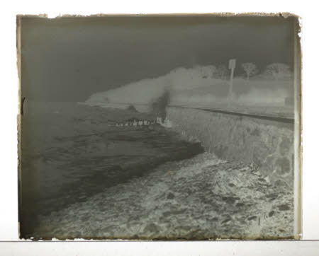 Photographic plate