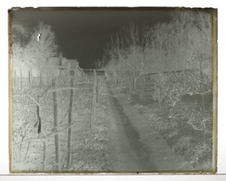 Photographic plate