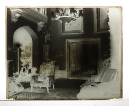 Photographic plate
