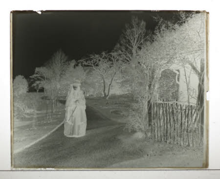 Photographic plate