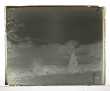 Photographic plate