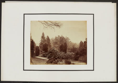 Two Photographs of Norcliffe Hall Terrace