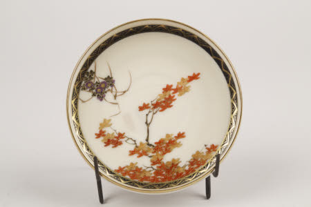 Saucer