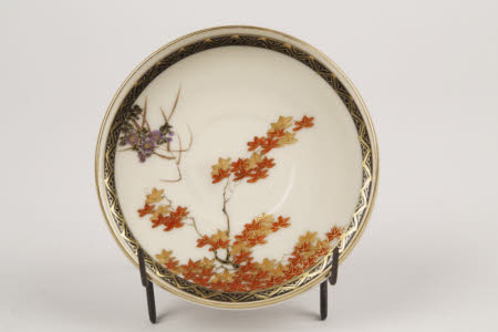 Saucer