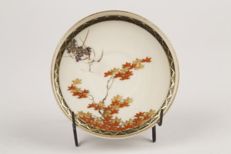 Saucer