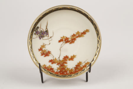Saucer