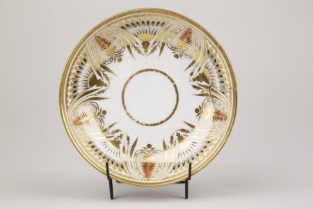 Saucer