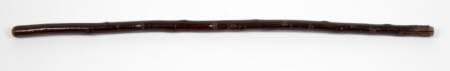 Walking stick