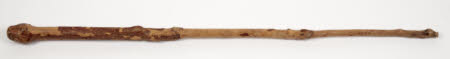 Walking stick