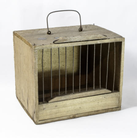 Bird cage