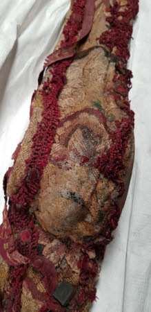 Clandon Park © National Trust / Rachael Chambers