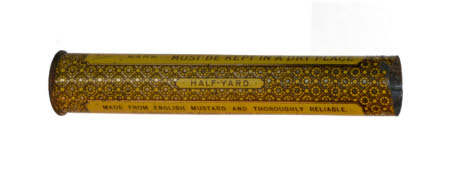 Mr Straw's House, Endcliffe Villa © National Trust / John William Brown