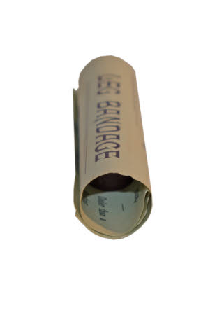 Mr Straw's House, Endcliffe Villa © National Trust / John William Brown