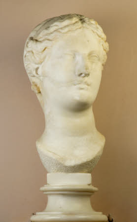 Head