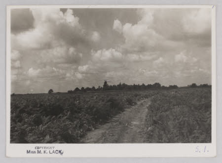 Photographic print