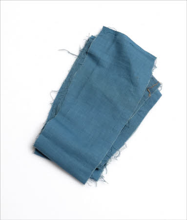 Tyntesfield © National Trust / Volunteer Photographic Team