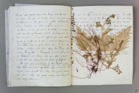 Beatrix Potter Gallery © National Trust/ Robert Thrift