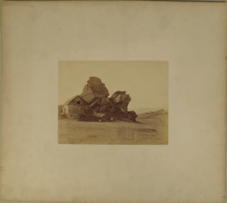 Photograph