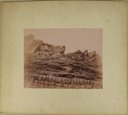 Photograph
