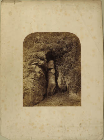 Photograph