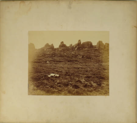 Photograph