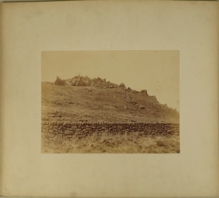 Photograph