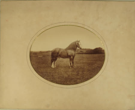 Photograph