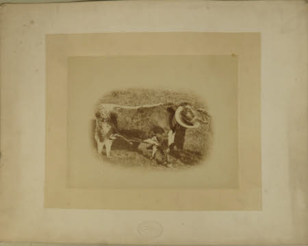 Photograph