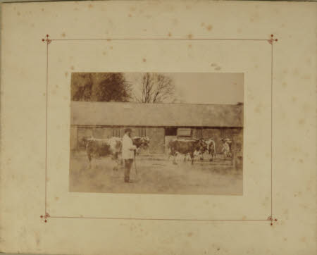 Photograph