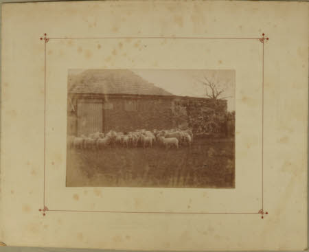 Photograph
