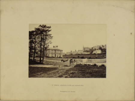 Photograph