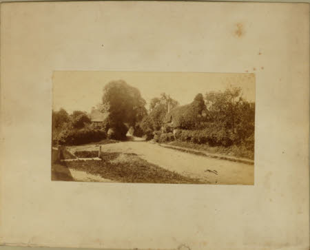 Photograph
