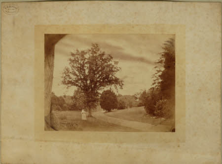 Photograph